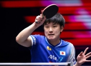 开云体育平台APP-日本队绝杀葡萄牙队，张本智和状态火热