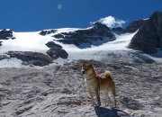 开云官网-从争议到传奇，哈弗茨冠军级表现，在英超争冠之夜重写足球定义