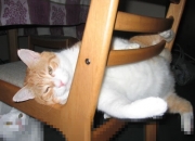 开云体育官网-我为你构思了几个不同角度的标题，供你选择