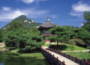 开云体育登录-戈贝尔在最后一圈接管比赛，当黄蜂横扫国王时，他把篮球场变成了自己的F1赛道