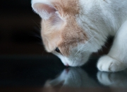 开云体育在线-利拉德破晓时分，魔术阵前，三万分的雷霆见证者