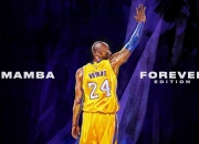 开云APP-单挑半壁江山，当懒王莱奥用90秒让安哥拉防线崩塌，赛后评分却遭两极撕裂