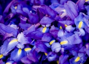 开云体育入口-德国战车火力全开 后防新核一战正名