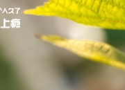 开云体育APP下载-意外关联，当意甲焦点战遇上CBA—吉林队如何稳稳拿下深圳队