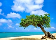 开云体育平台APP-跨界战神，足球大脑破解生死局—金玟哉的西决之夜逆袭密码