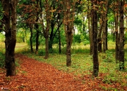 开云体育中国-NBA季后赛焦点战与丹麦的启示，单节爆发如何拉开日本男篮的差距？