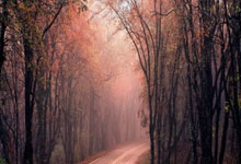 开云sport-流星划过基多之夜，无名者的冠名礼，与一场洲际版图的重新划定