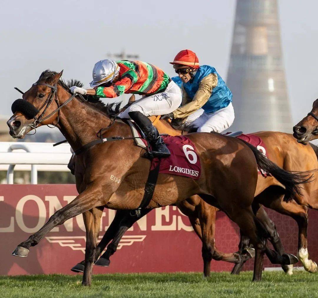 卡塔尔女篮在中东邀请赛上斩获冠军