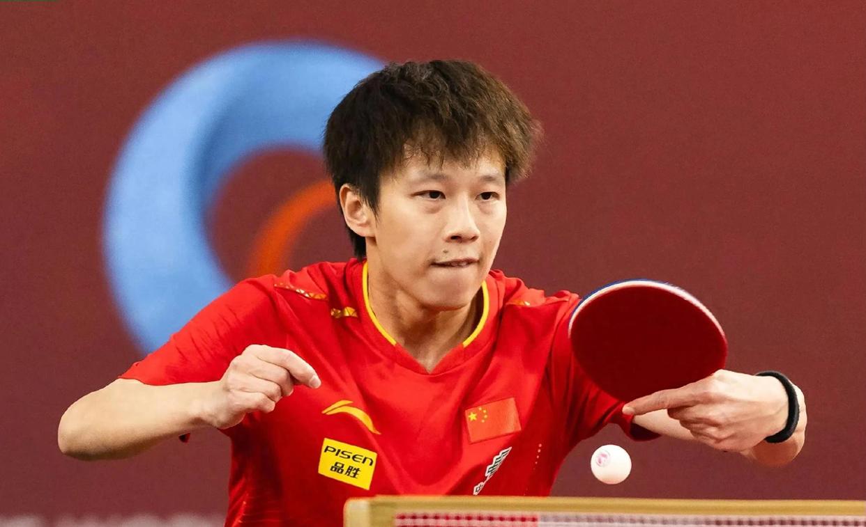 德国队横扫中国队，林高远状态火热的简单介绍