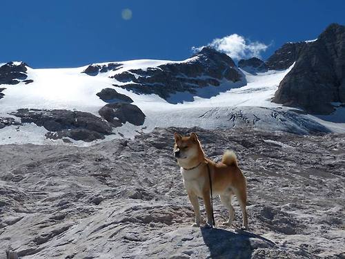 从争议到传奇，哈弗茨冠军级表现，在英超争冠之夜重写足球定义