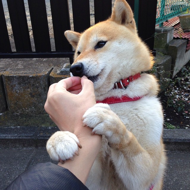 首尔之夜，阿劳霍的黄金一击，韩国如何撕碎马德里竞技的铁血防线