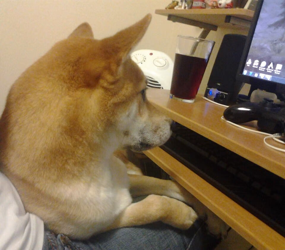 当欧文成为太阳,一场篮球宇宙的交错叙事