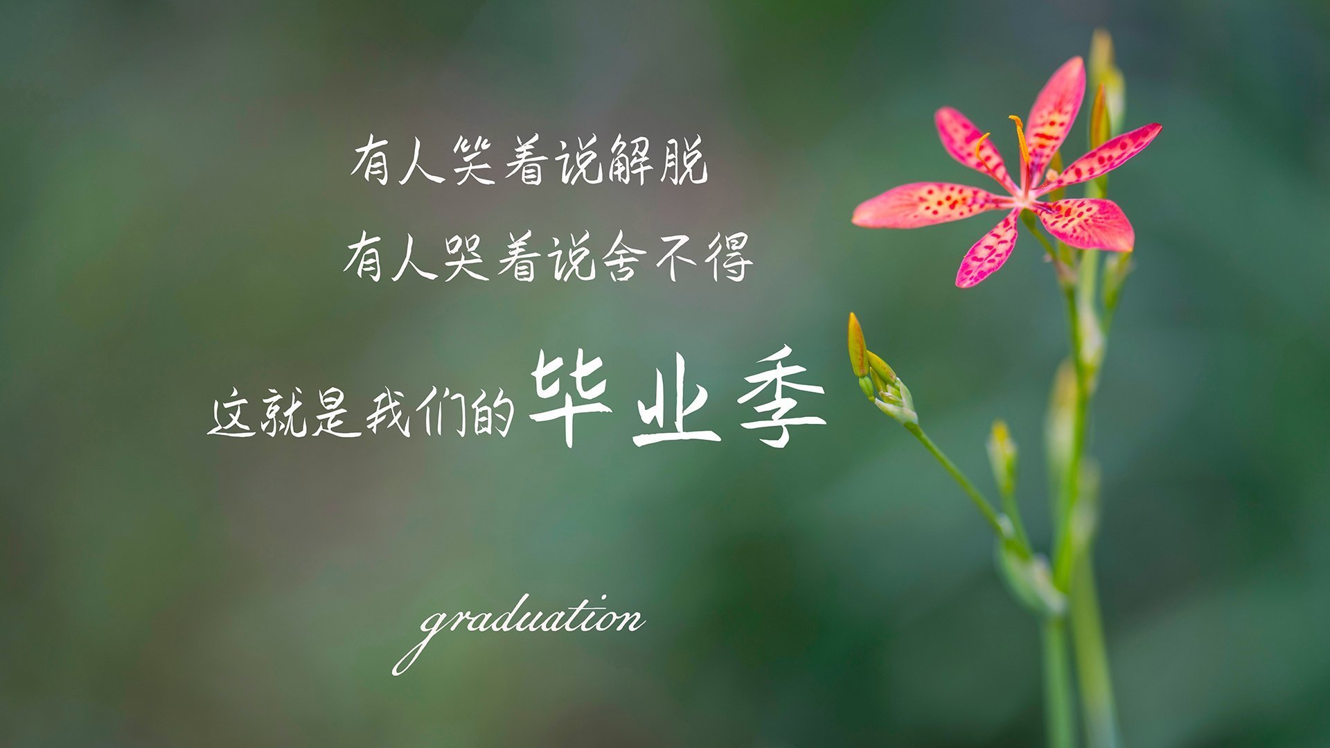 当欧文成为太阳,一场篮球宇宙的交错叙事