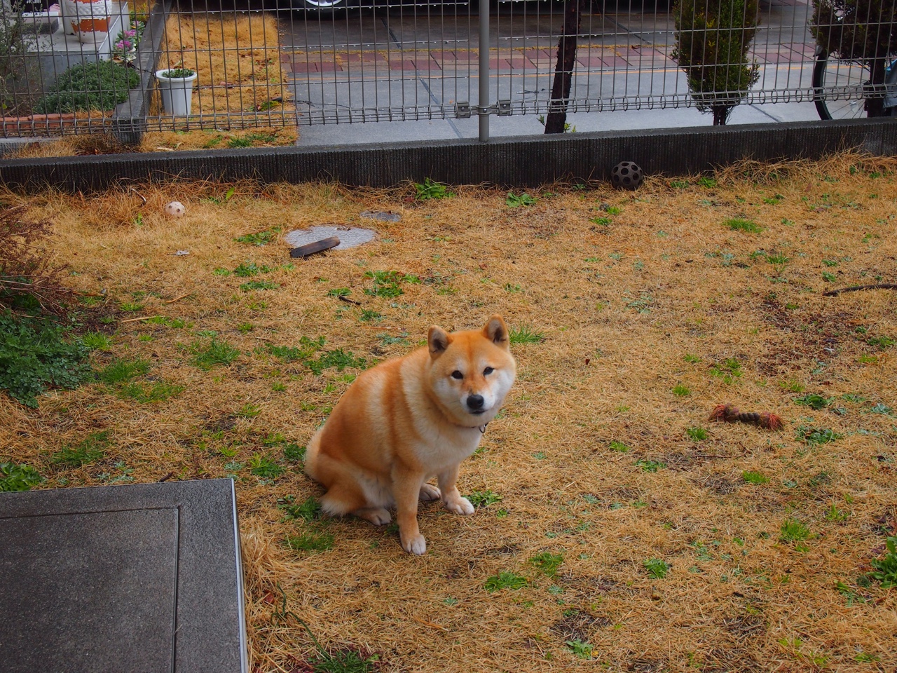 当芬兰在FIFA虚拟绿茵制霸沙特,久保建英用现实足球接管世界排名的战争