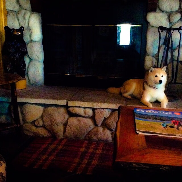 吞噬与新生，挪威碾压爱尔兰之夜，巴雷拉宣告2026世界杯接管时刻