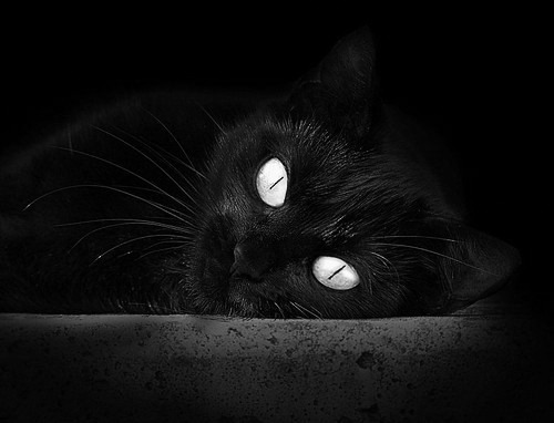 王座之争，哈登用魔鬼步伐撕裂76人防线，他就是为战火而生的国王