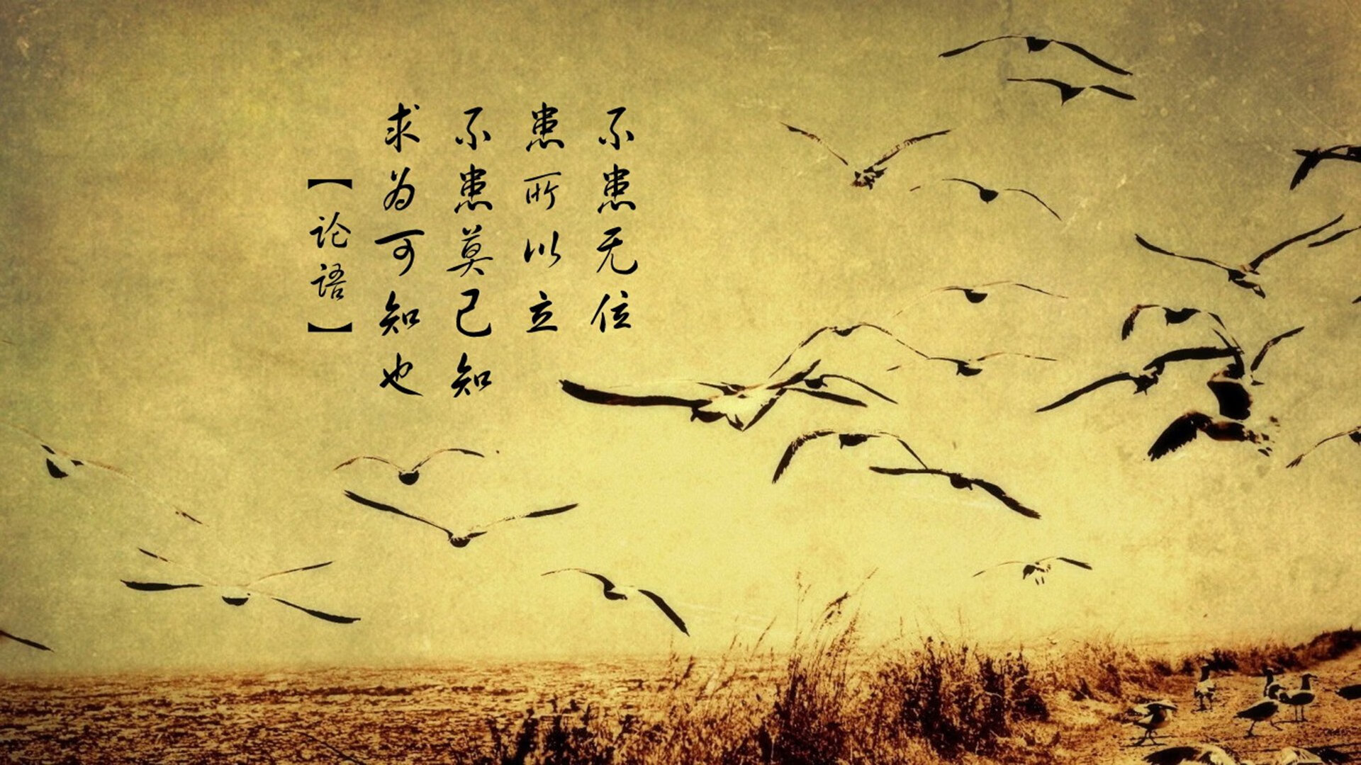 基辅的阶梯，当帕尔默在时代隐线连续得分