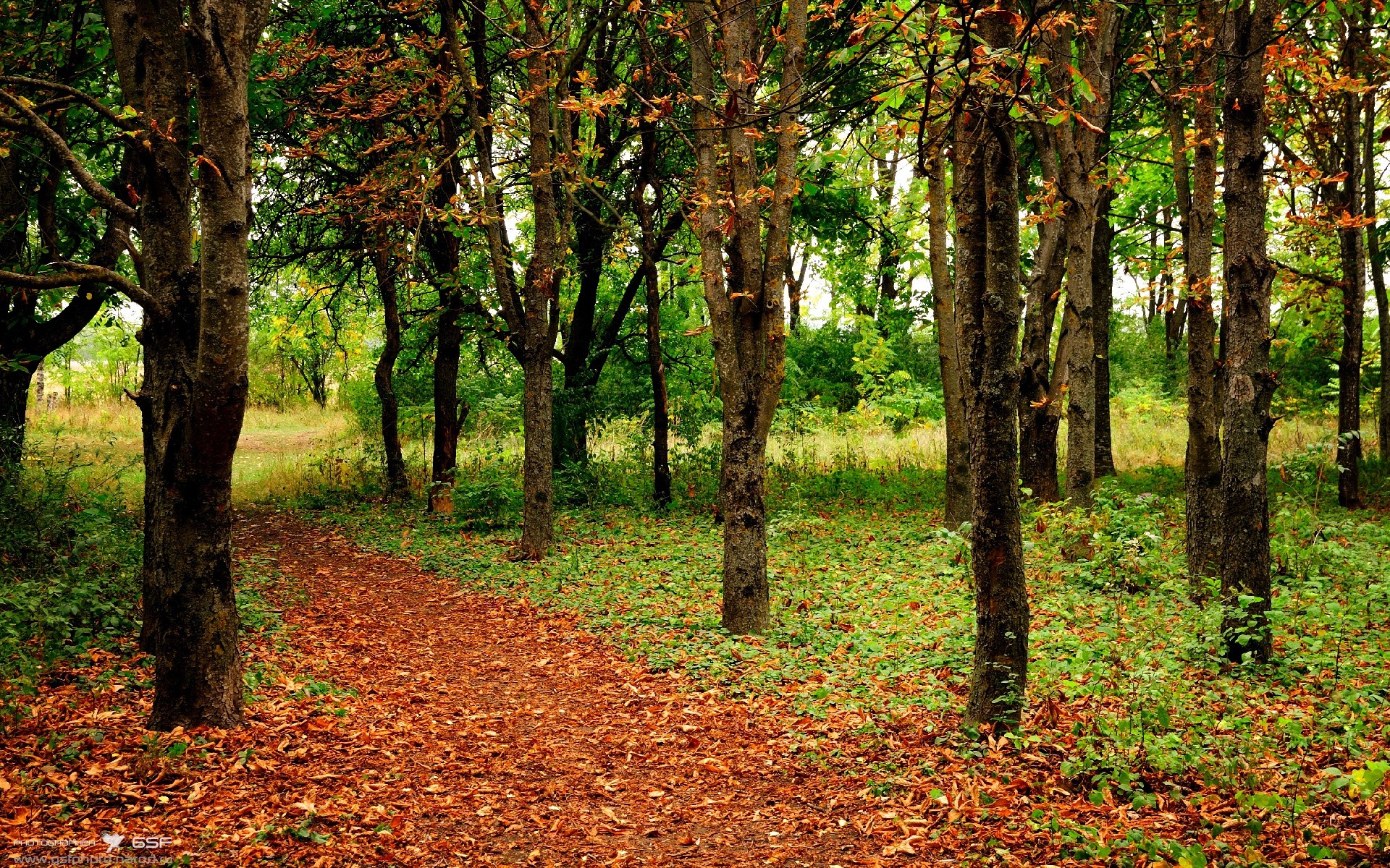 NBA季后赛焦点战与丹麦的启示，单节爆发如何拉开日本男篮的差距？